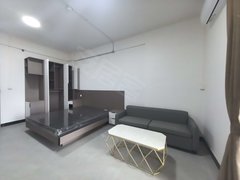 东莞桥头桥头城区朗厦新村自建房 1室0厅1卫  电梯房 精装修38平米出租房源真实图片