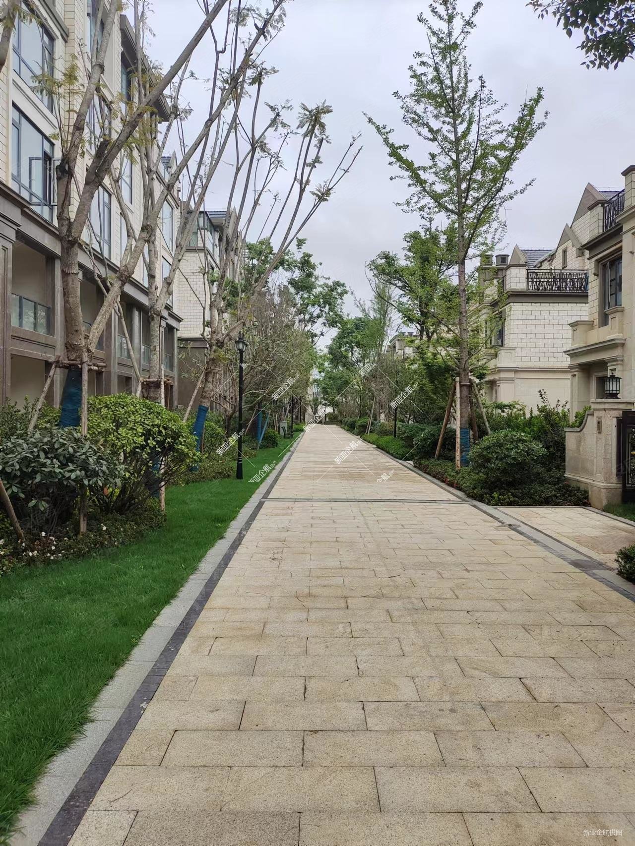 精装东南157平滇池俊府威廉郡645万4房 生态半岛好楼层