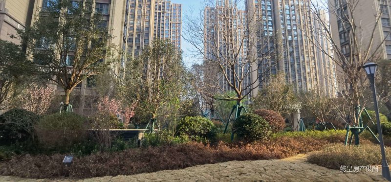 建业贰号城邦3室2厅2卫121㎡南北96万