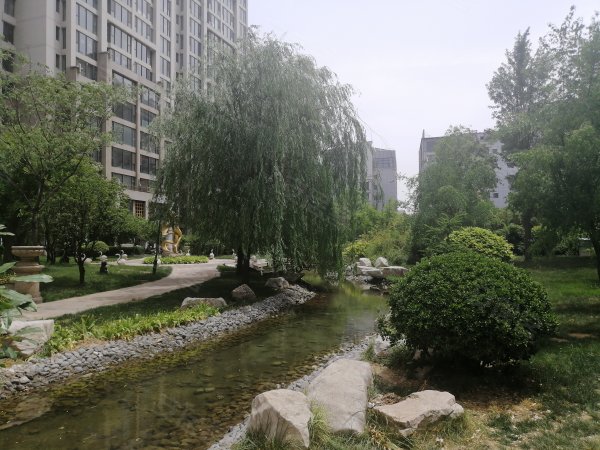 鑫域国际公寓优点,不足,邯郸鑫域国际公寓怎么样,鑫域国际公寓周边