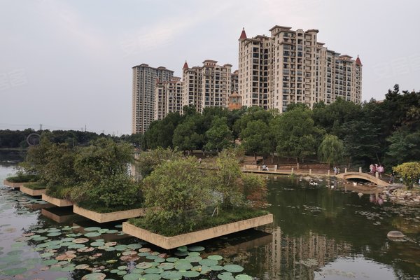 新加坡花园城,长江西路898号-合肥新加坡花园城二手房,租房-合肥安居