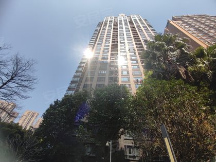 红星国际广场晶品,闽江大道266号 - 福州红星国际广场晶品二手房,租房