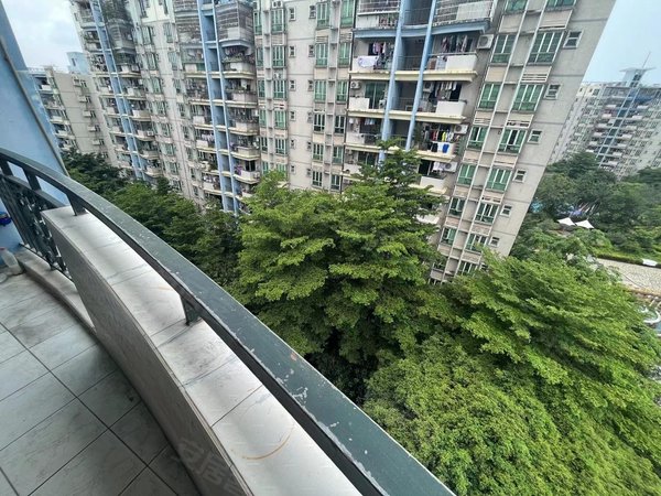 广州番禺大石丽水湾富丽家园丽水湾电梯两房一厅望花园绿化好靠江边