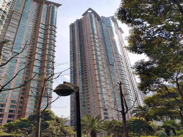 上海浦东陆家嘴世茂滨江花园(北区)实地拍摄!特价房!