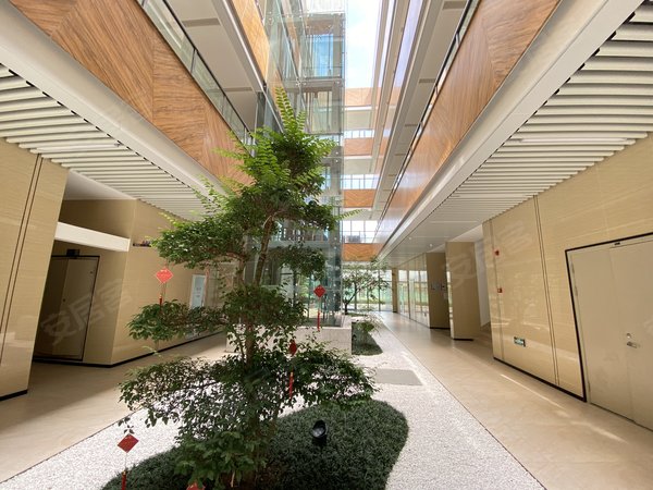 【多图】禹洲滨天地,转塘租房,西湖区 精装一室一厅 全屋定制家具