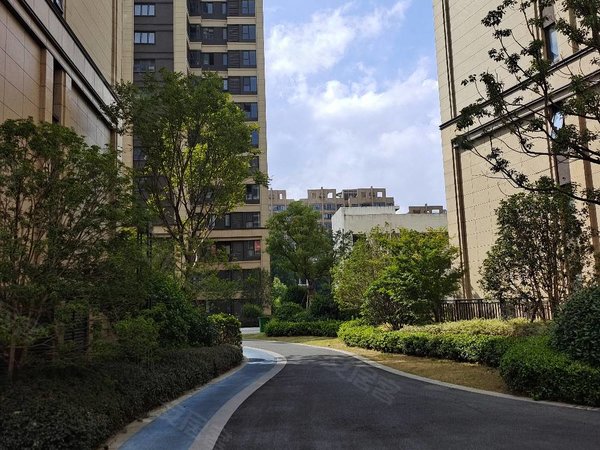 合肥巢湖北门宋都如意长江如意长江三房,全新装修,出租出租房源真实