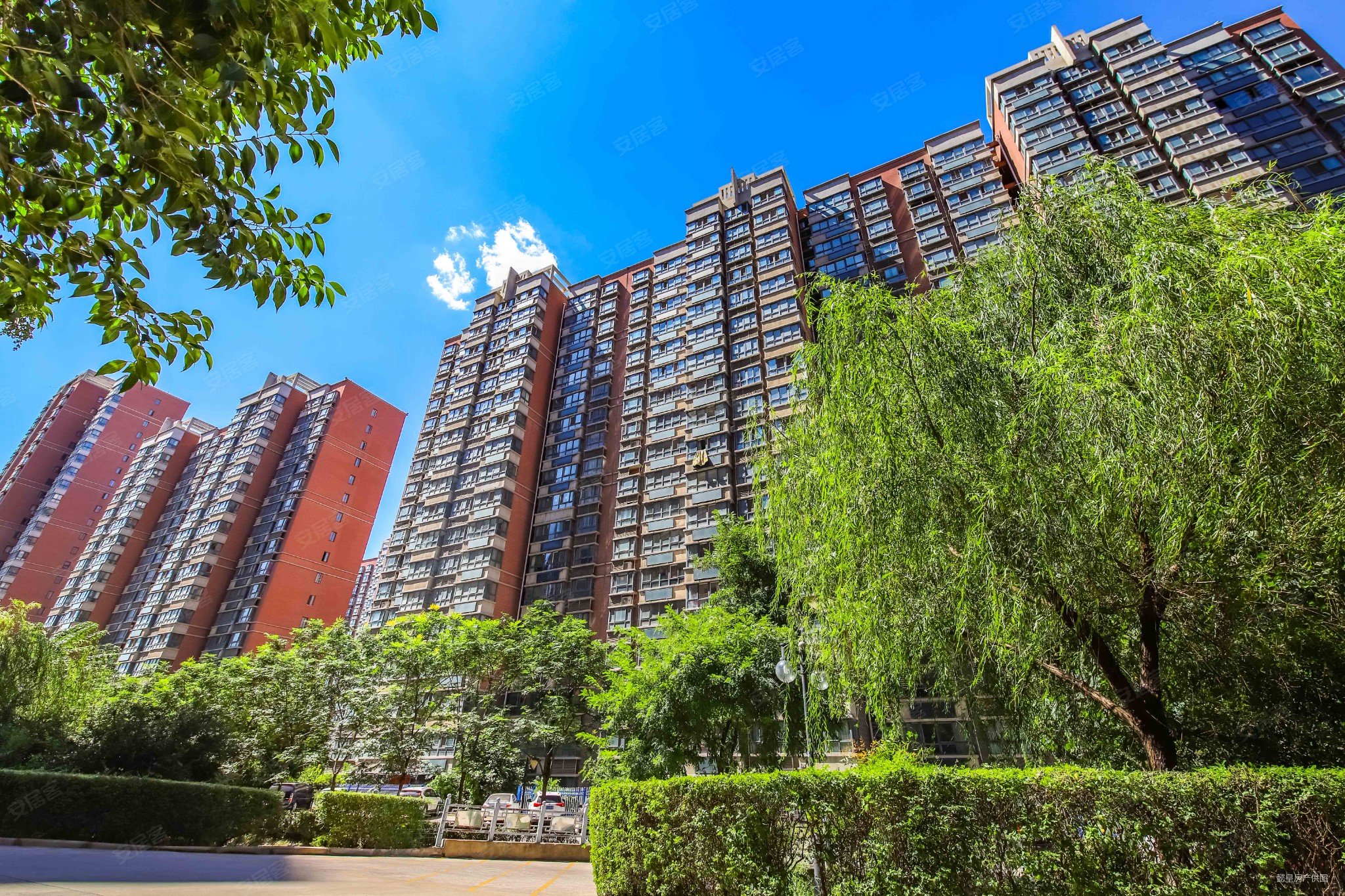 毛坯四室 还能大砍价,书香苑二手房,135万,4室2厅,2卫,177平米-洛阳