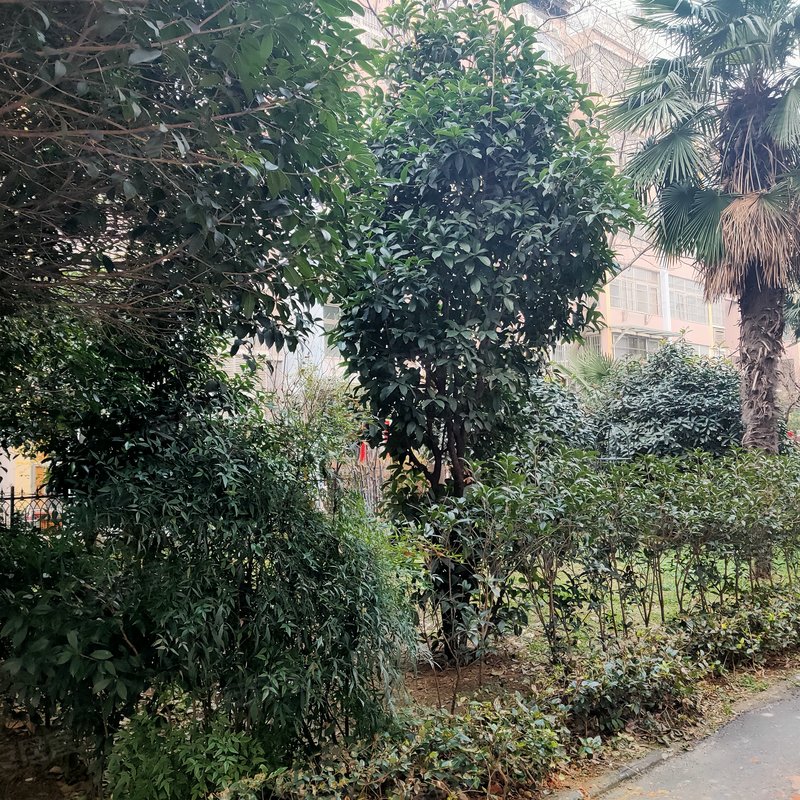 怡和庄园(二期)小区详情,房价走势,房源,业主论坛】- 阜阳58同城