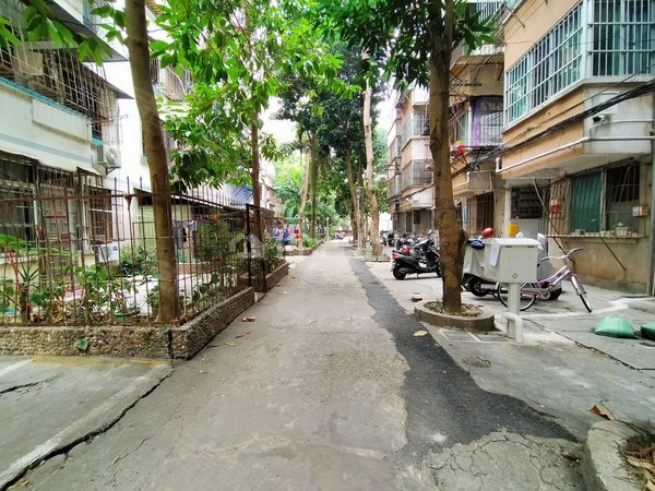 【多图】新竹小区,新竹租房,新竹小区接地1楼精装配齐 拎包入住 有