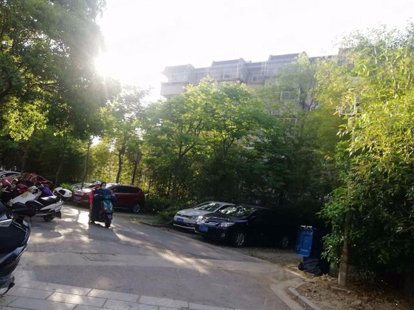 中医院|华府景城 3室| 精装| 电梯|家电齐全|采光佳,亭湖租房-盐城58