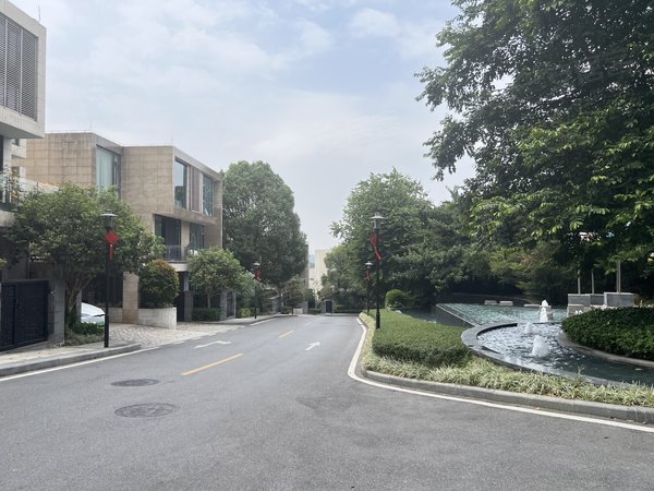 广州白云南湖新天半山墅独栋大别墅 带地下娱乐室 可接待 居家工作