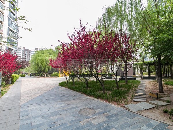 【多图】光大水墨风景,万柳租房,万柳光大水墨南北三居户型方正园区好