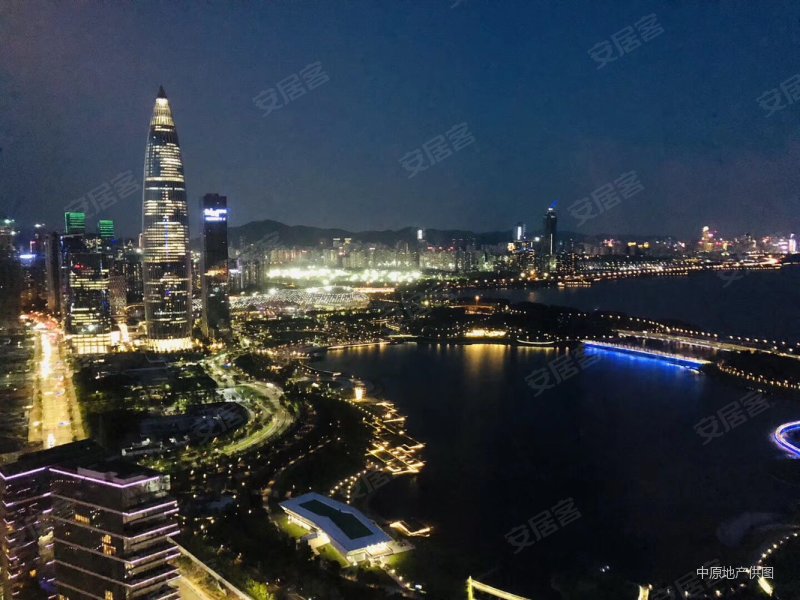 深圳湾1号(新上)t5栋434平海景大4房,海景很漂亮,诚售