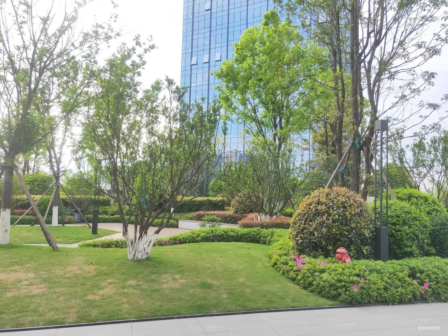 菁蓉湖 科幻新城 滨湖湾 正对湖景大平层 中间楼层 独门独户,菁蓉滨湖