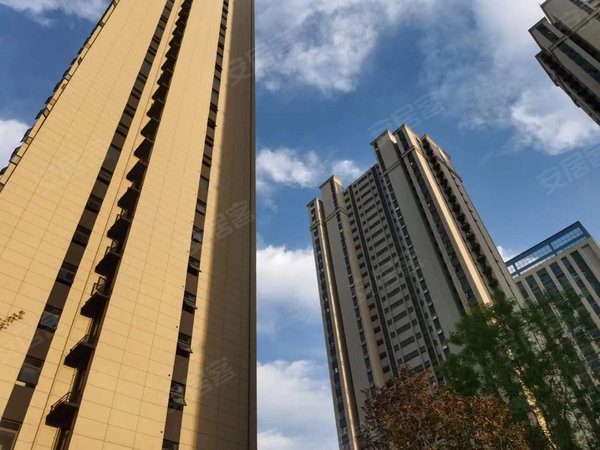 郑州金水三全路张家村七号院整租!