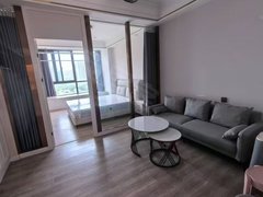 亳州蒙城玖隆国际万达旁 新中医院 京开城公寓 一室一厅一厨一卫 多套房源出租房源真实图片