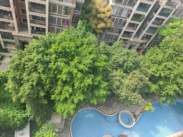 广州增城新塘海伦堡花园海伦堡新装修的3房,采光好出租房源真实图片