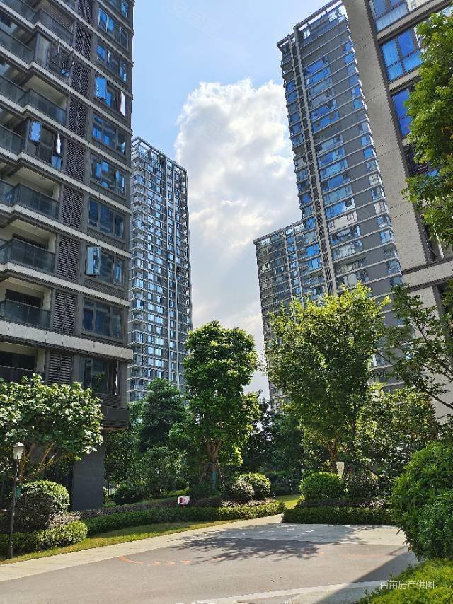 杨柳郡紫荆苑中天城旁全新装修电梯三房还价就卖方便看房