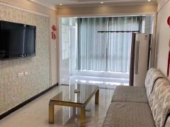 大上海国际 1室1厅1卫 电梯房 精装修 配套齐全