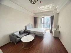 上海嘉善罗星街道嘉善万联城公寓 一室一厅一厨一卫  精装修拎包入住 随时看房出租房源真实图片