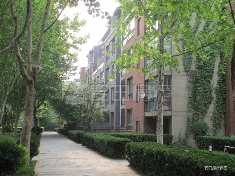 西山庭院3室3厅2卫177.39㎡南北1890万