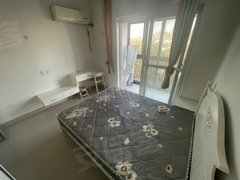 平湖平湖市区市区人才公寓，1室卫，可短租，月付，近八佰伴，近人民医院，大润发出租房源真实图片