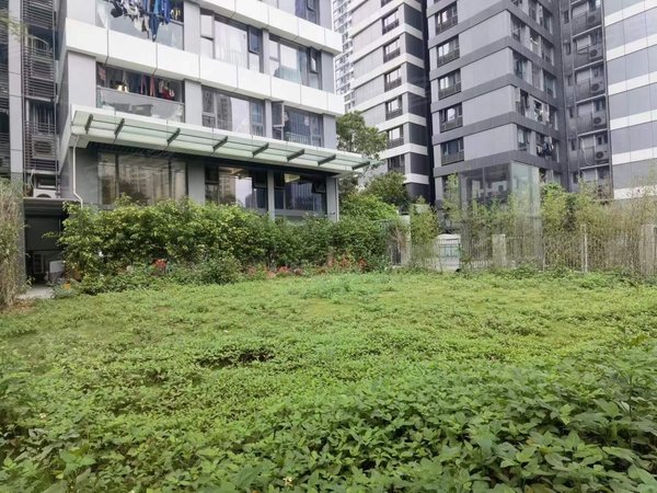 深圳罗湖布心粤海城天河城楼上豪华公寓出租,厅出大花园,可住家,可