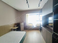 中懋天地 生态广场 酒店式公寓 拎包入住 环球贸易中心 吉视