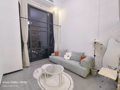 蚌埠蚌山新城区银泰！万达！奥园复式公寓！实拍房源！随时看房！出租房源真实图片