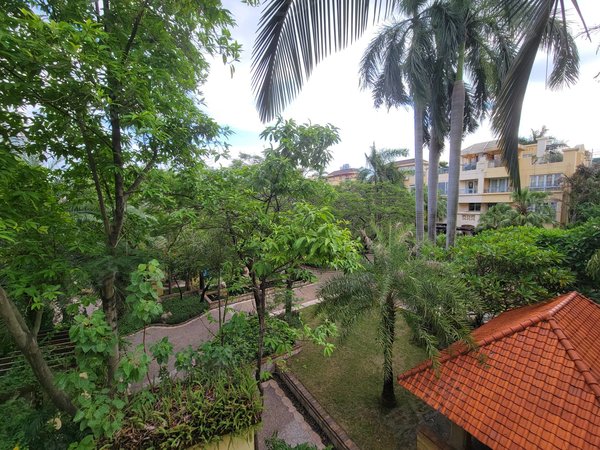 广州越秀二沙岛新世界棕榈园二沙岛 新世界棕榈园 三房两卫 看房方便