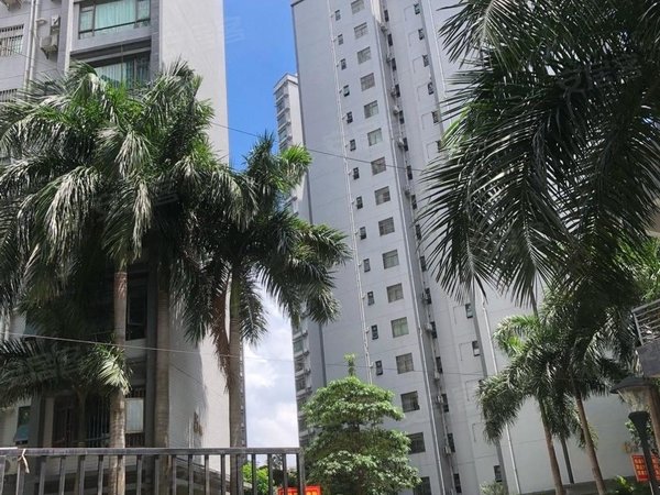 深圳宝安沙井恒源花园京基百纳商圈  恒源花园 花园小区  精装2 房