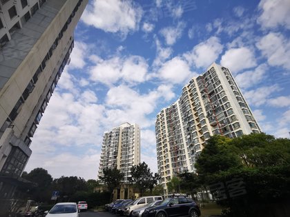小区不足本地人居住率90%,租客占比10%居民素质小区出门向左转100米处