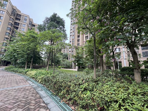 佛山南海金融高新区中海锦城出租 中海锦城  精装三房 带家私电 拎包