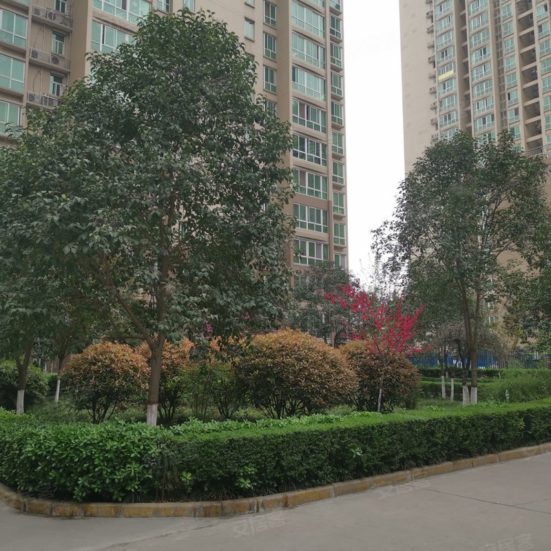 【旭景新港, 旭景新港小区专家解读页】- 西安58同城