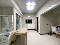 福鼎城区市中心龙泽电梯两房    拎包入住    电梯高层出租房源真实图片