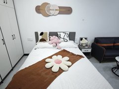 深圳宝安松岗温屋村 近松岗地铁 精装修，采光充足 南北通透 民用水电出租房源真实图片