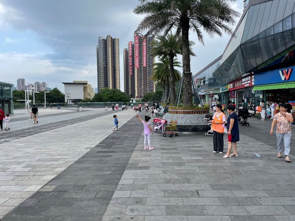 深圳龙岗横岗乐城(一期)荷坳地铁口,标准两房,楼层佳通风性好,空房