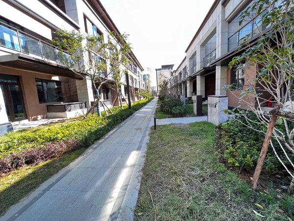 蚌埠禹会张公山奥园誉府奥园誉府别墅 有院子 凤凰书院  柏庄春暖花开