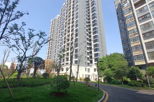 湘潭小区 雨湖小区 湖南科技大学小区 九华新城 九华新城怎么样