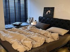 徐州云龙民富园无中介 升辉 爱琴海 和平大桥 汉文化兵马俑 拎包即住出租房源真实图片
