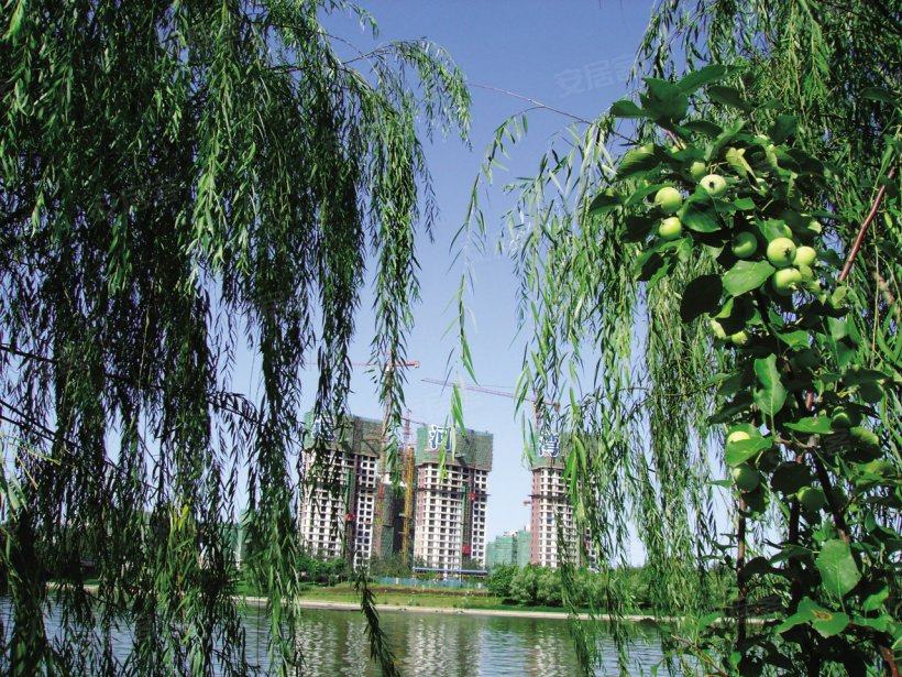 新华联运河湾 - 实景图 20 / 109