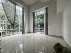 南宁青秀仙葫青秀凤岭南边套大花园别墅租6000带底下车库带露台中空客厅出租房源真实图片