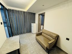 深圳福田新洲新洲奢华一房急租 押一付一民水民电家私齐全拎包入住！出租房源真实图片