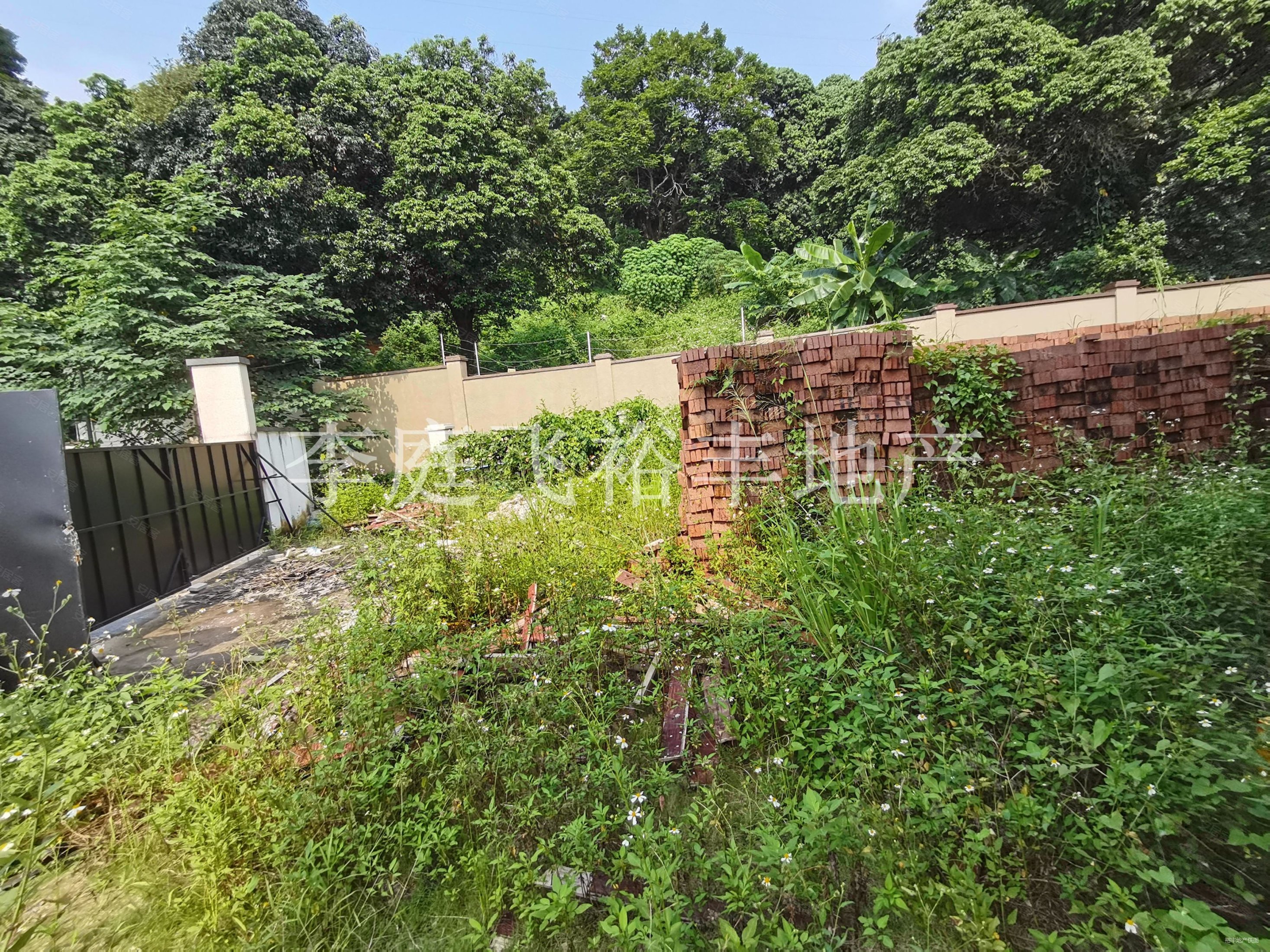 地下室两层均采光锦林山庄凡谷别墅双拼别墅大花园毛坯