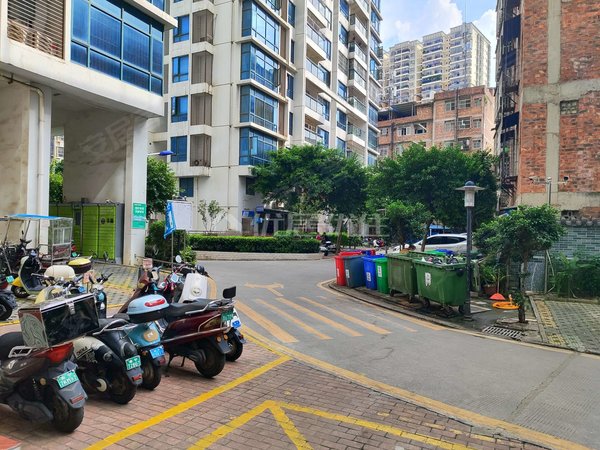 南宁西乡塘新阳新阳国际急租!