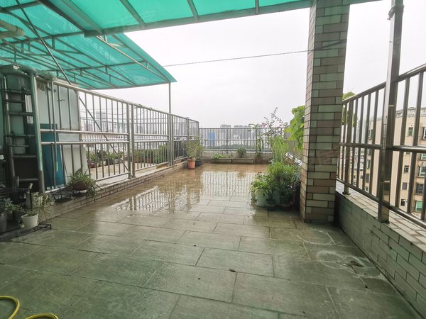 龙城国际租房,尚景华园 5室2厅2卫 电梯房 205平米,龙岗租房-深圳58