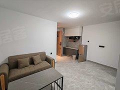 广侨时代公寓 1室1厅1卫  电梯房 精装修41平米