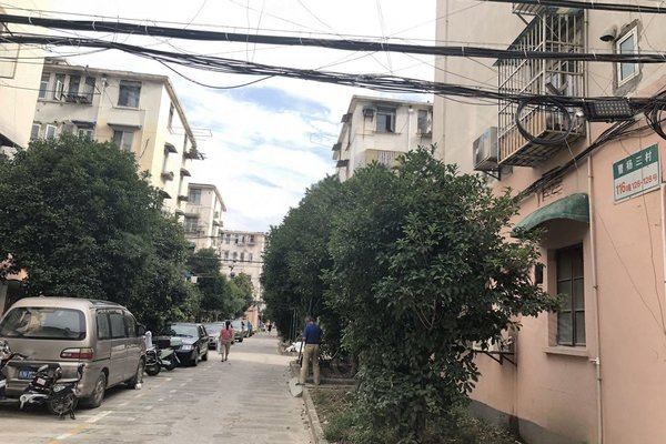 兰岭园,曹杨三村95-129,206-293号-上海兰岭园二手房,租房-上海安居客