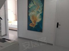 吉林船营长春路可月付，有宽带，550月，东北电力对面电梯一室出租房源真实图片