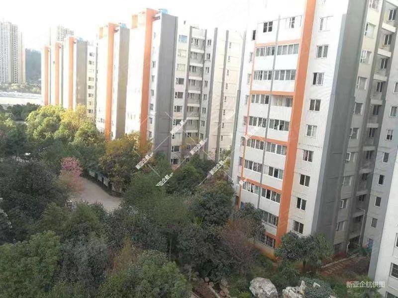 铁合金怡芳苑小区(二期)3室2厅1卫80.41㎡南北65万